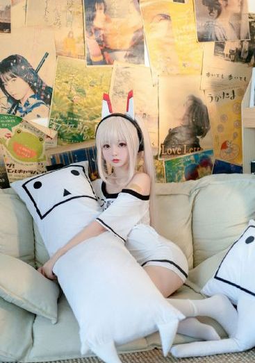 www.猫咪