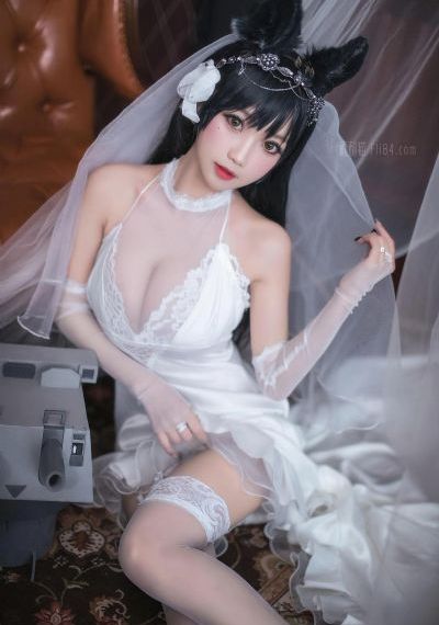 成全免费高清全集