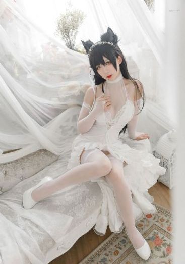 极品新娘电视剧免费全集观看