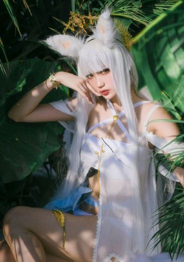 charlotte夏洛特