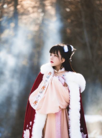 保险公司女推销5