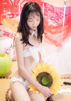 电视剧白夜追凶第二季免费观看