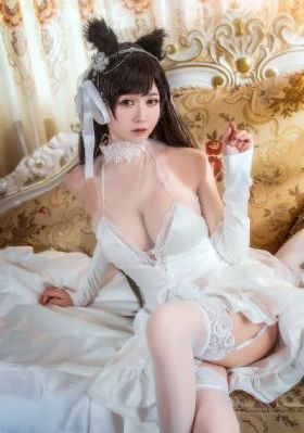 一条狗的使命